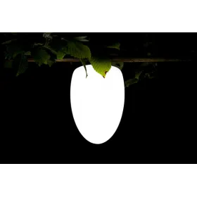 Imagilights egg