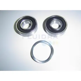 MOTOR BEARINGS VICTORIA PLUS